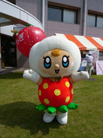 コットベリー