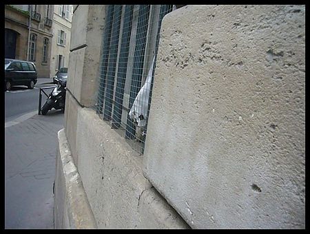 P2510219