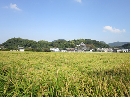 頭を垂れて