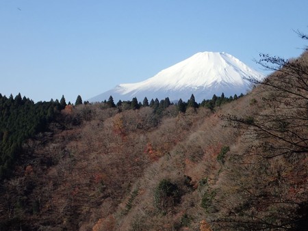 寺ノ沢から富士山
