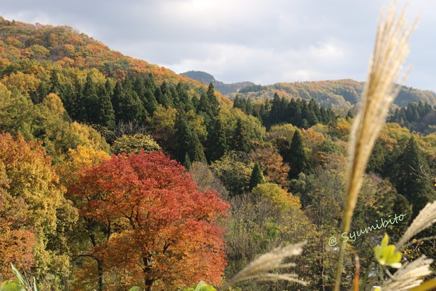 成沢城址公園~東側を望む