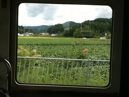 20110918バスの車窓より