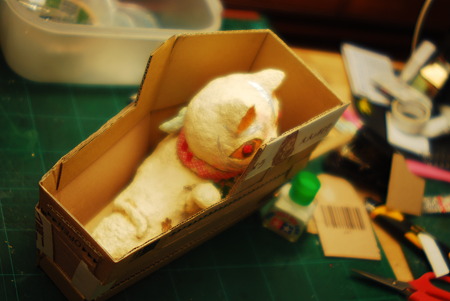 Play cat and an animal into a cardboard box.
