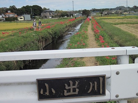 これぞ小出川