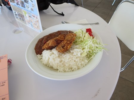 今日だけはどうも人気だったらしいまぐろかつカレー 550円 なかなかリーズナブル。