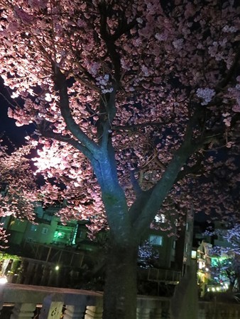 なんか美しい。