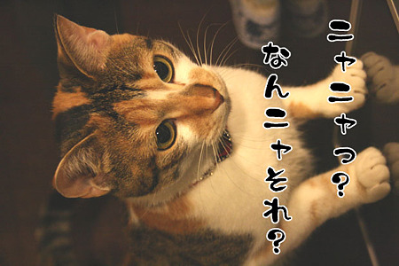 2010062002