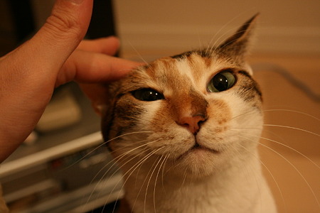 2011020102