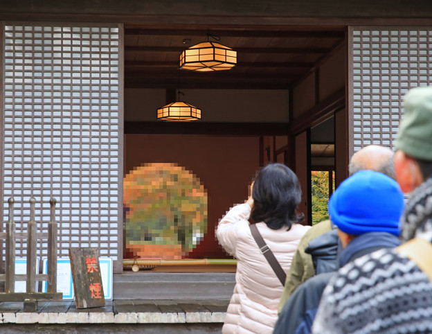 写真: x1M0A3550