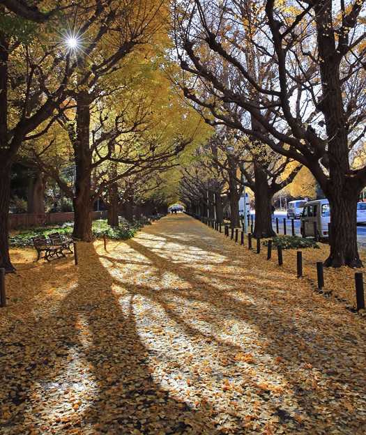 写真: z1M0A3785