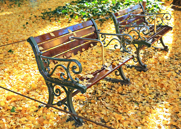 写真: z1M0A3796