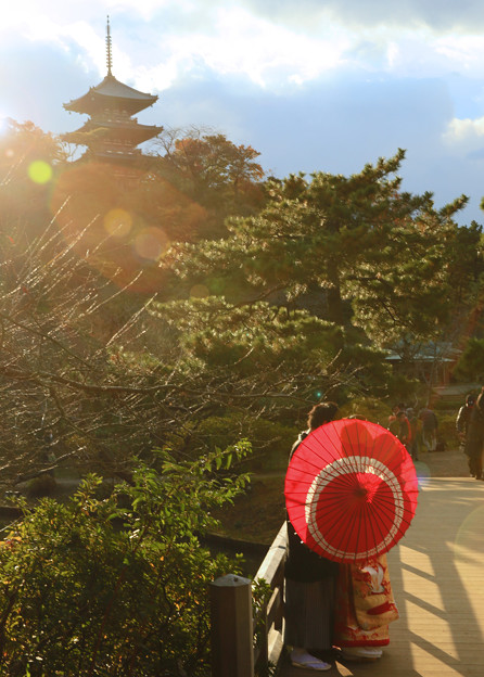 写真: z1M0A4321