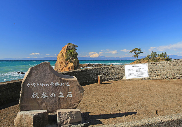 写真: z1M0A4986