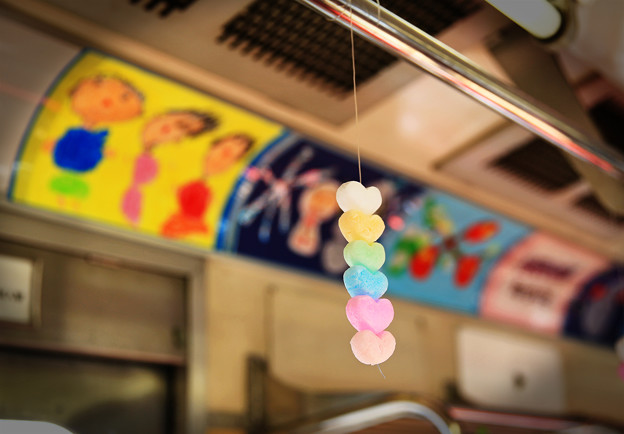 写真: z1M0A6811