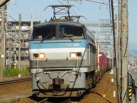 DSC02161