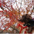 Photos: 2014121611