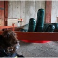 Photos: 2014121705