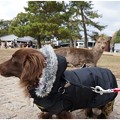 Photos: 2014121712