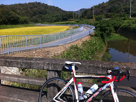 写真 1