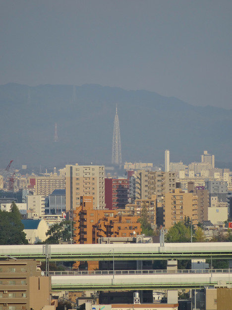 秋の名古屋城 - 24:天守閣最上階からの眺め(瀬戸デジタルタワー)