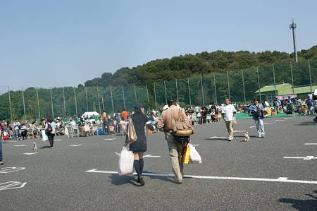 DSC03247