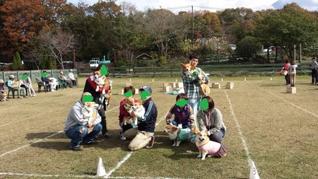 20141108_105319