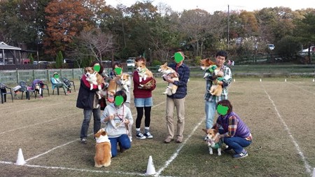 20141108_111231
