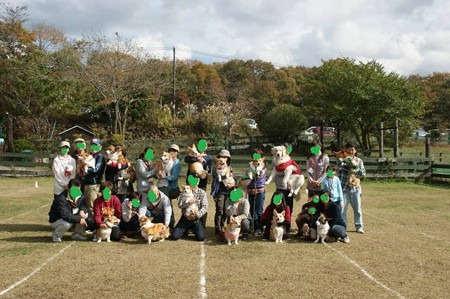 DSC04005