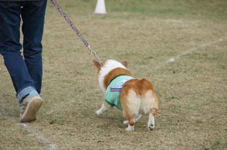 DSC04029
