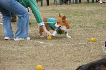 DSC04080
