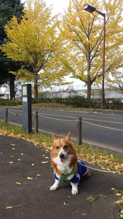 20141116_114453