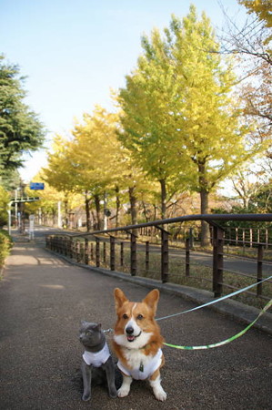 DSC04157