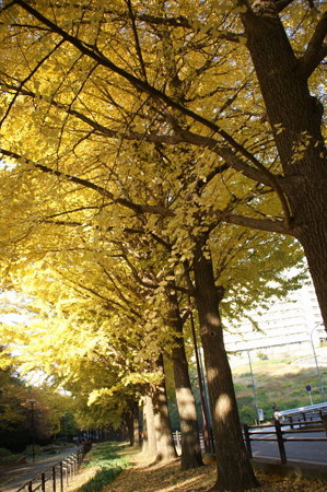 DSC04205