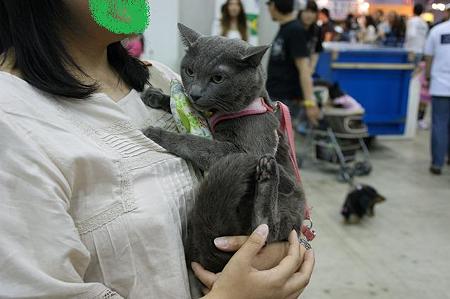DSC08428