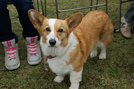 DSC09036