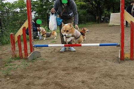 DSC09306