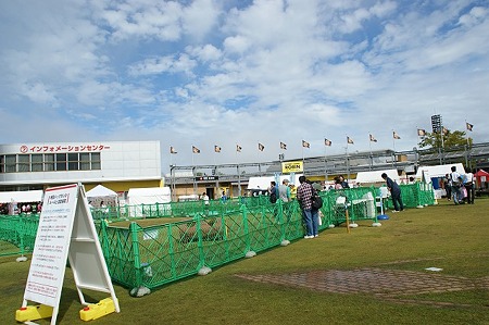 DSC03330