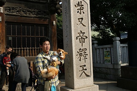 DSC04570