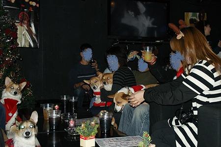 DSC06306