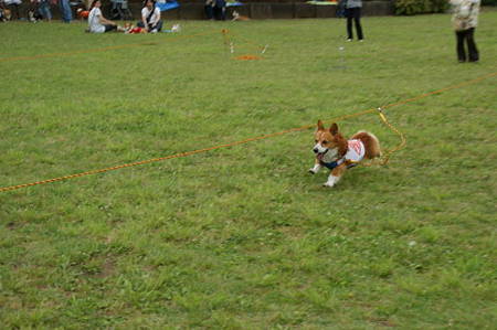DSC00934