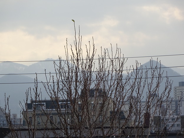 DSC03359