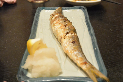 resize1096 写真: resize1096