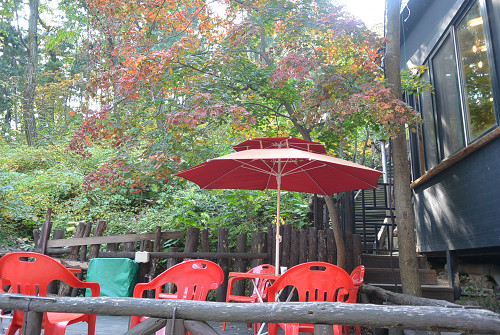 resize1122 写真: resize1122