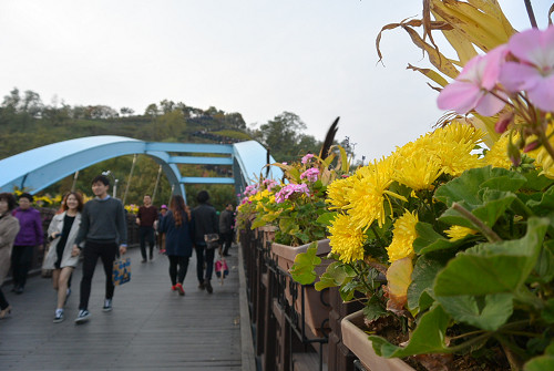 resize1231 写真: resize1231