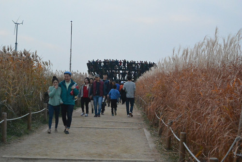 resize1266 写真: resize1266