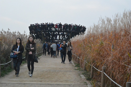 resize1267 写真: resize1267