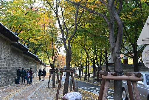 resize1349 写真: resize1349