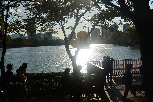 resize1404 写真: resize1404