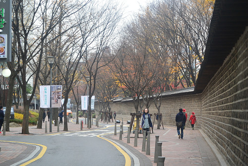 resize1514 写真: resize1514
