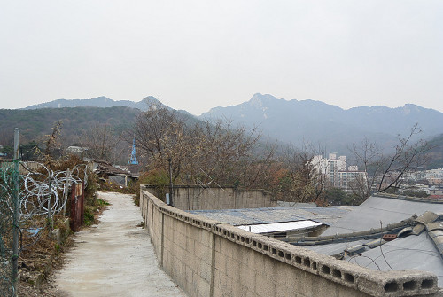 resize1608 写真: resize1608